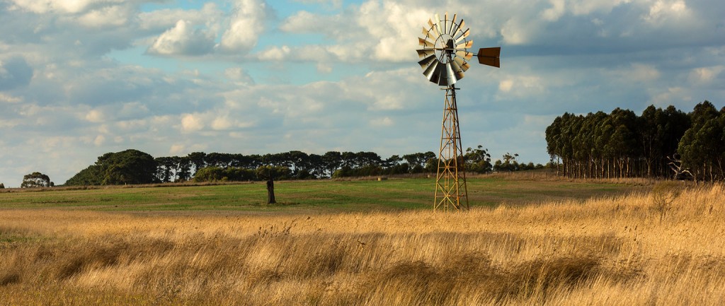 Market outlook: Big moves roll on in cattle country