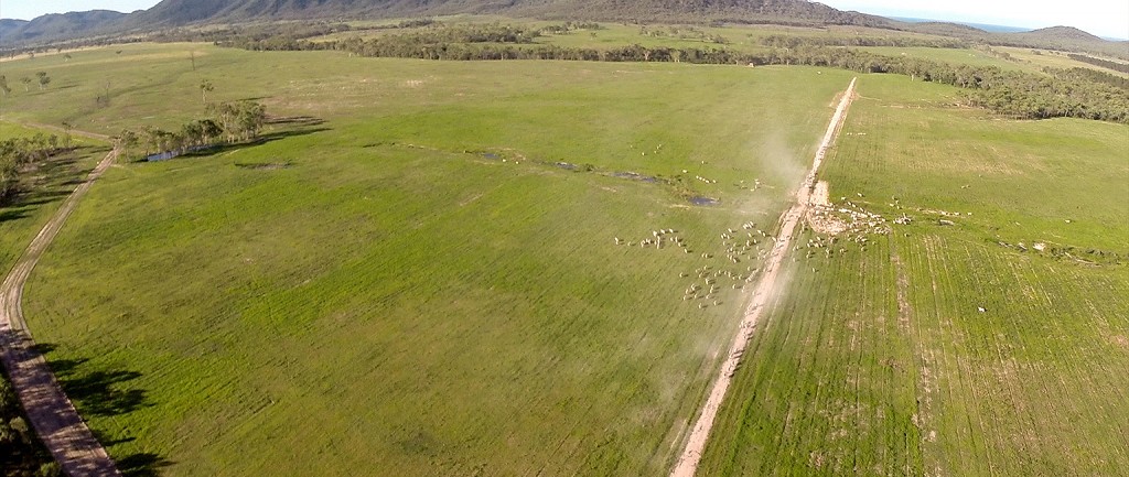 Queensland substantial agricultural operation Rangeview is for sale via expressions of interest.
