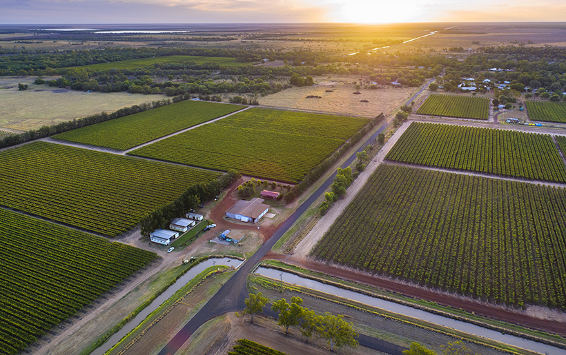 Bounty Farms spans more than 200ha at St George in Queensland.
