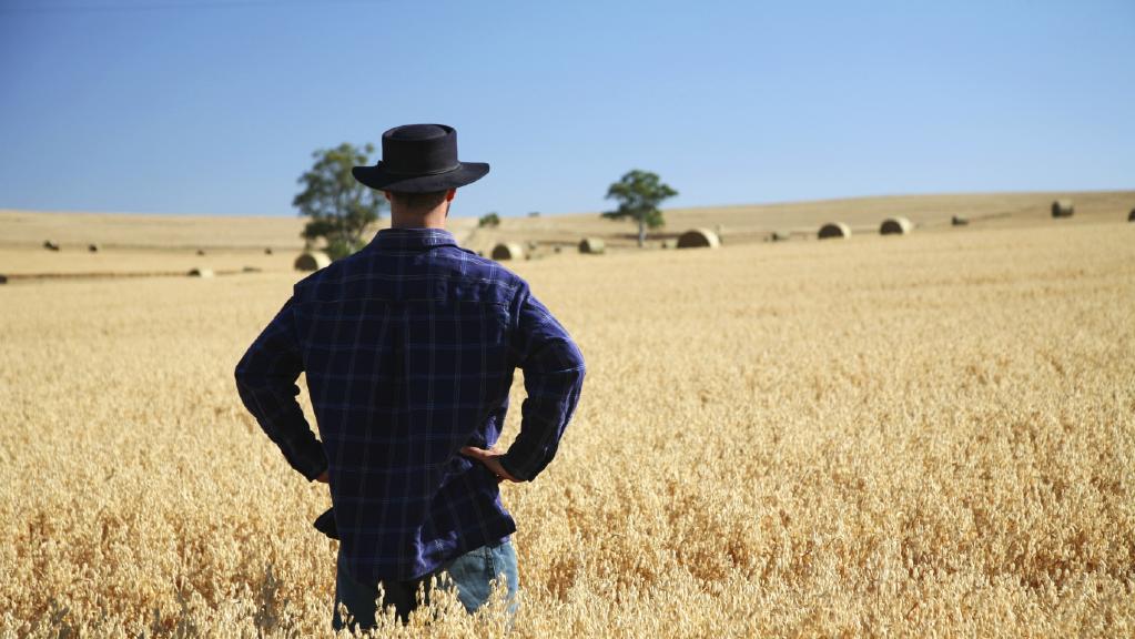 Queensland farmland values soared in 2016.
