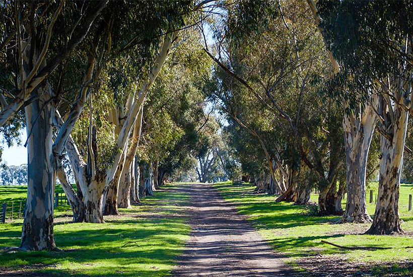 “East Mount Ada” is situated in Benalla in Victoria’s north-east.
