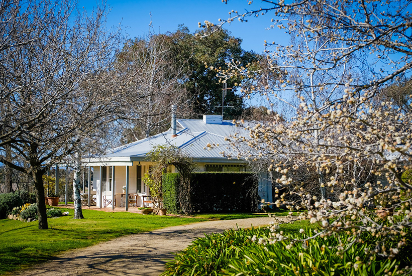 The “East Mount Ada” property includes a large homestead and gardens.
