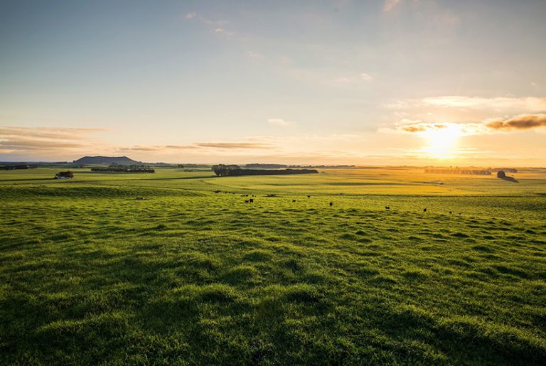 Ron Evans’ family offers prized SA farm Mt Schanck station