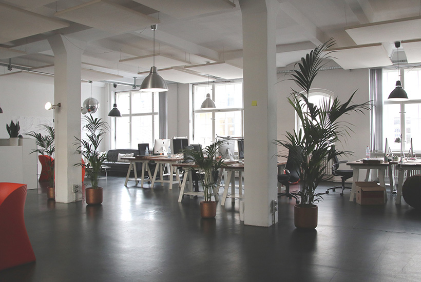 Adding some plants or greenery can make a huge difference at your workplace.
