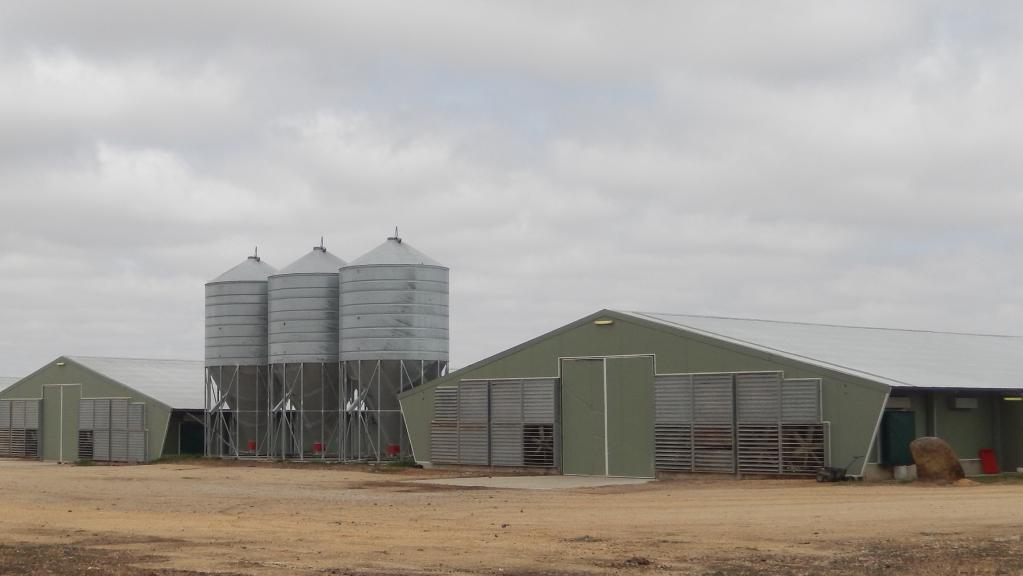 The former broiler farm at Meredith has sold for $3.5 million to an egg producer.
