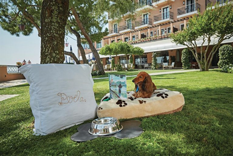 Hotels offer insane list of holiday options for dogs