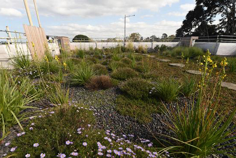 A St Kilda East apartment block’s retro-fitted “green roof”. Picture: Chris Eastman
