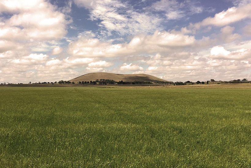 The “Deloraine” farm spans 600ha.
