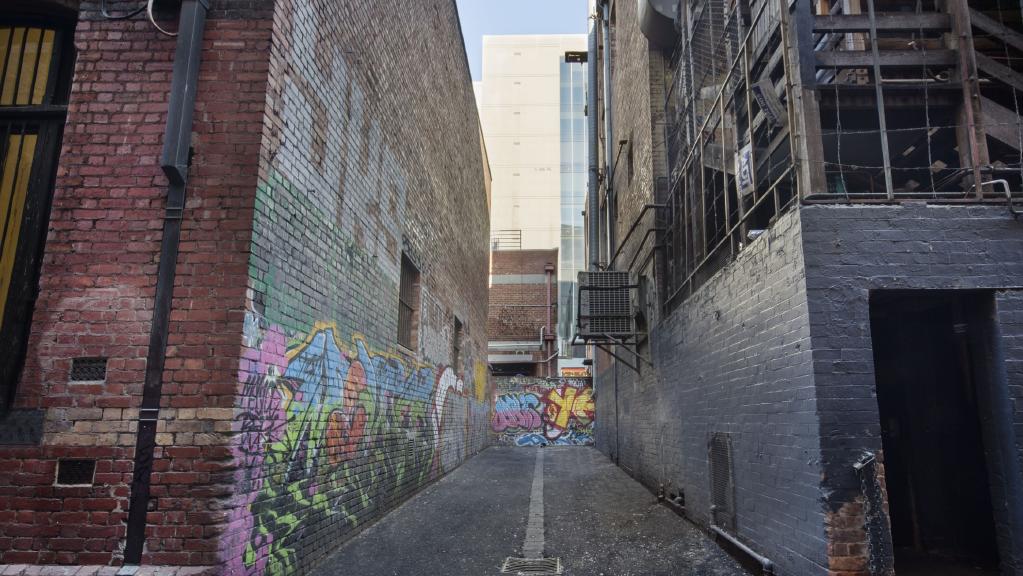 The laneway in the Melbourne CBD has been bought for $600,000.
