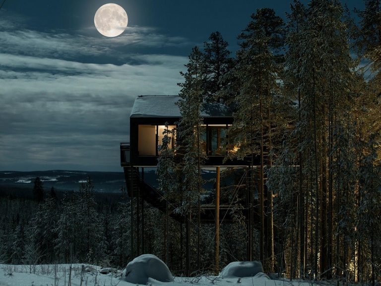 This Swedish treetop hotel will blow your mind