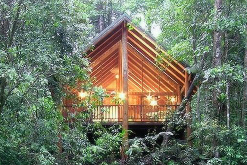 The Canopy Rainforest Tree Houses and Wildlife Retreat in the Cairns highlands.
