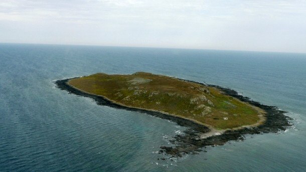 Ninth Island, off the coast of Tasmania.
