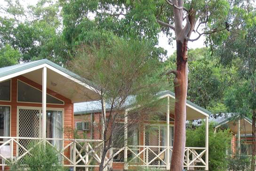 Cabins at the Lane Cove River Tourist Park in North Ryde, Sydney.
