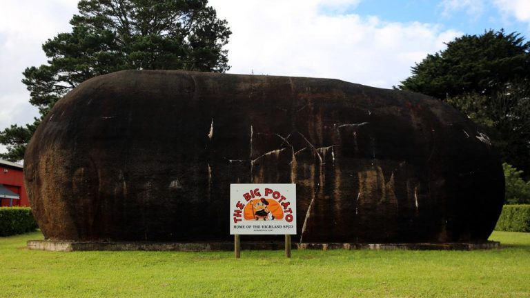 Investor chips in to buy Robertson’s iconic Big Potato