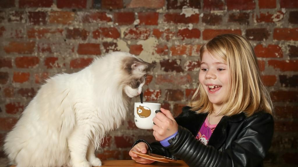 The building housing Melbourne’s Cat Cafe sold for $4.4 million. Ella Keele, 9, having coffee with a cat at the popular establishment. Picture: Alex Coppel.
