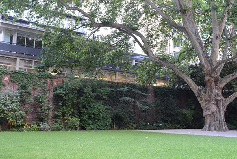 The lawns of the Melbourne Club. Picture: Annabel Reid
