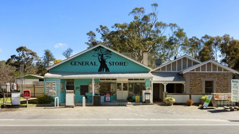 Buyers rush in for SA general store tree change