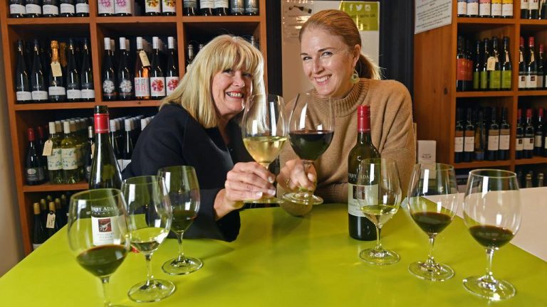 Bottoms up as Barossa Valley wine tasting business hits the market