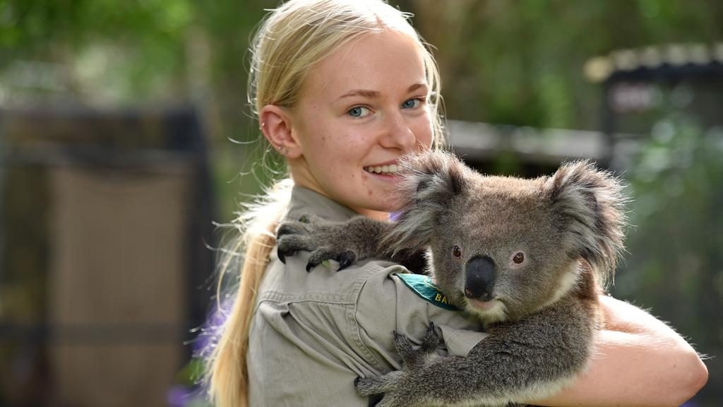 Greta Cuthell with Ash, age 12 months, at Barwon Heads’ Jirrahlinga Koala and Wildlife Sanctuary.
