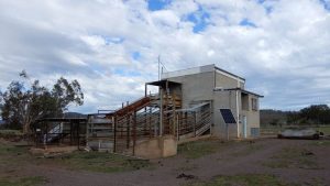 SA slaughterhouse offers rare business opportunity