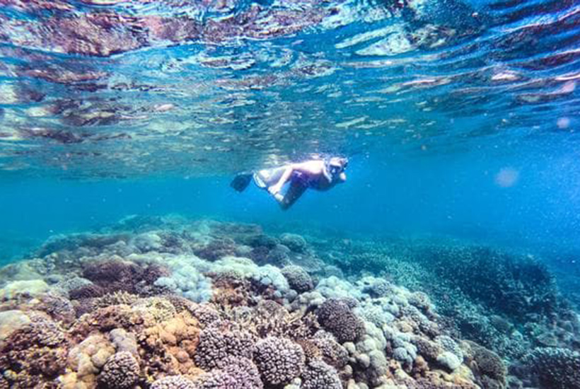 Great Barrier Reef's Pumpkin Island up for sale