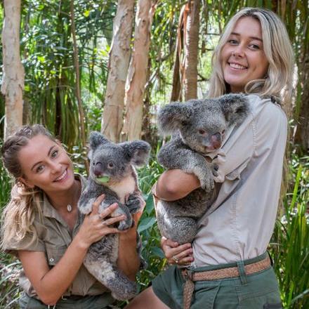 Some furry ‘housemates’ and their keepers at Bungalow Bay Koala Village
