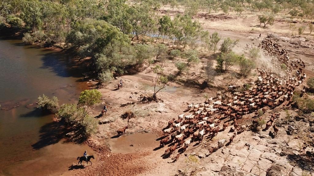 Nardoo cattle station sold for $35m under the hammer via Ray White Rural QLD.
