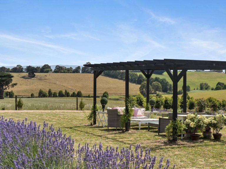 Provence in West Gippsland flower farm a slice of French countryside