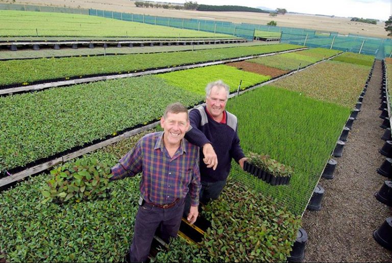 Farm offers buyers a chance to get into Manuka market