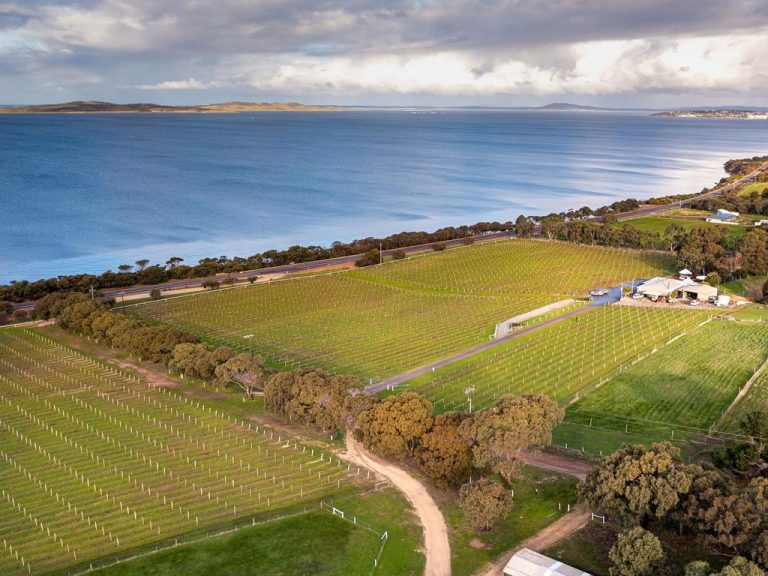 A vine reason for a seachange as Boston Bay Wines near Port Lincoln hits the market