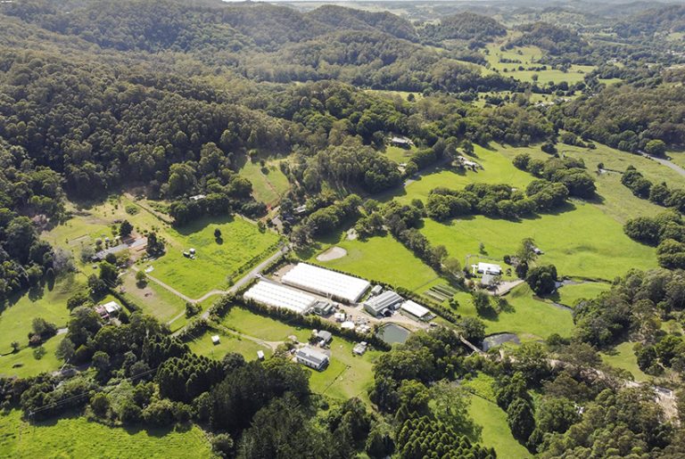NSW microgreens farm supplying Coles now seeks new owner