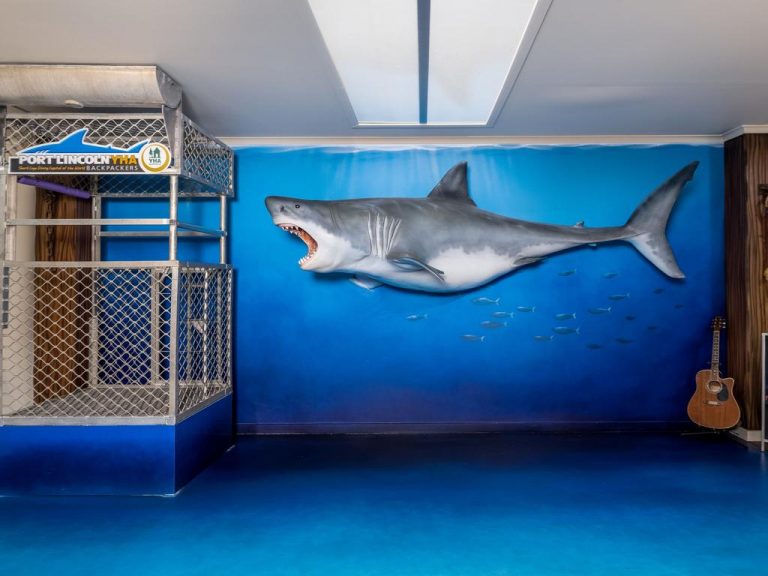 Shark-themed holiday accommodation with a cool vibe