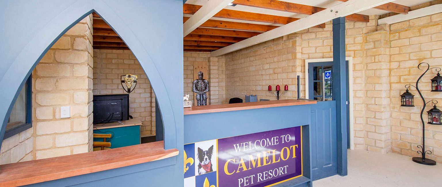 Camelot Pet Resort is on the market.  Picture: realcommercial.com.au/for-sale
