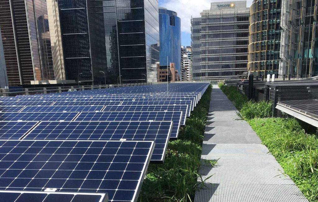 City of Sydney incorporates renewable target to tackle net zero emissions by 2035