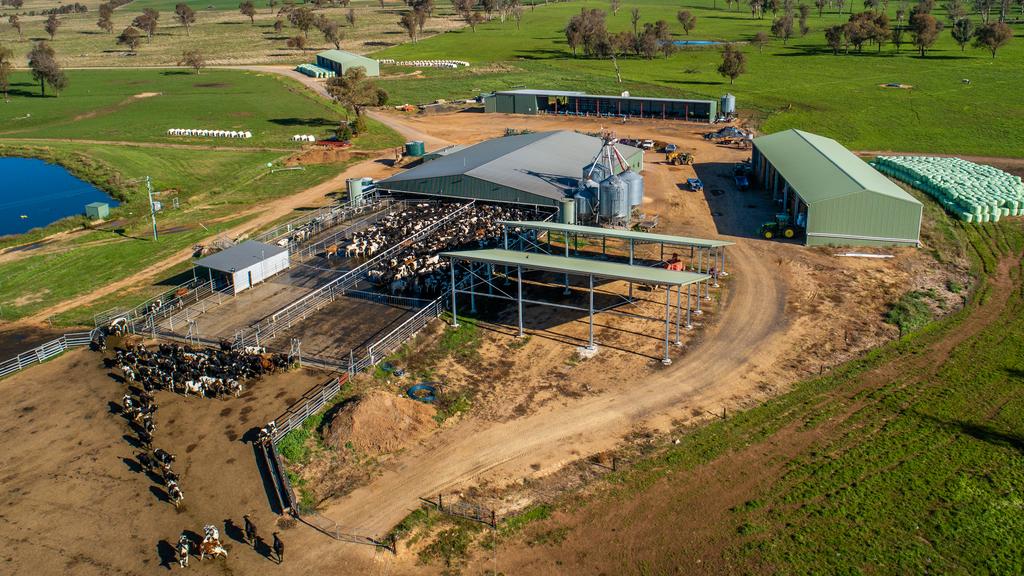 Walcha Dairy Farm, Walcha NSW