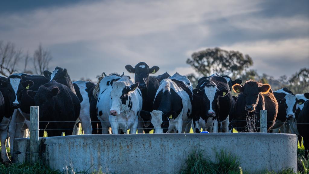 Up to eight million litres of milk have been produced on the farm every year.