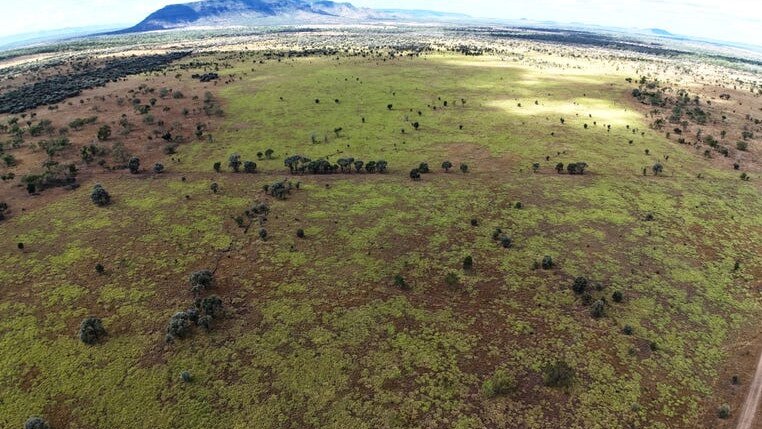 Gattonvale Holding in Collinsville was sold by the Cox family for $77.75m in August by Shepherdson & Boyd (Qld).