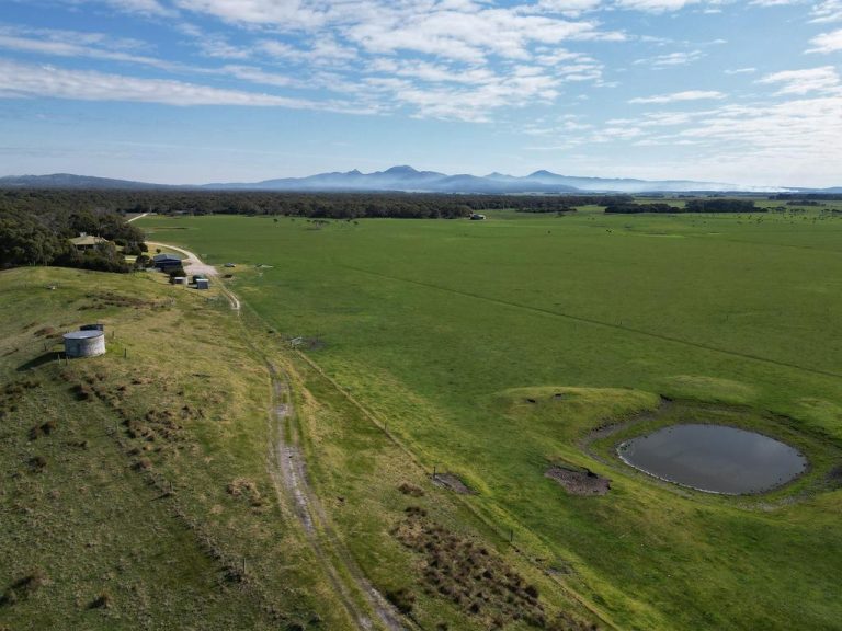 Over 10pc of Flinders Island arable area to be sold in one go