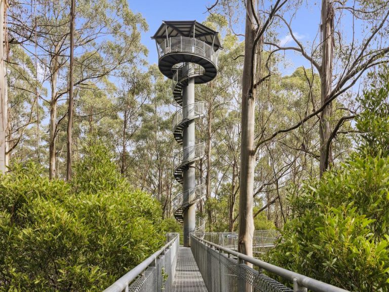 Otway Fly eco-tourism site listed for sale as focus shifts to city attractions