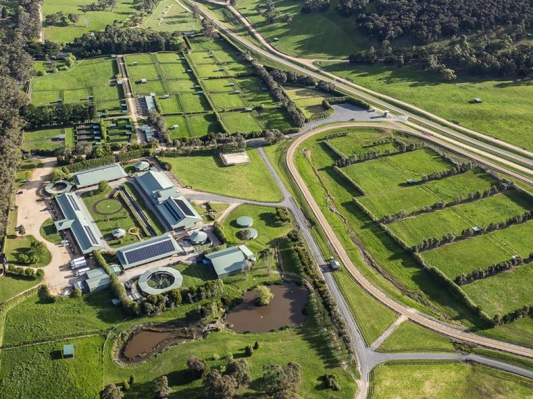 Victoria’s top-tier horse training farms that are home to Melbourne Cup winners on the market right now