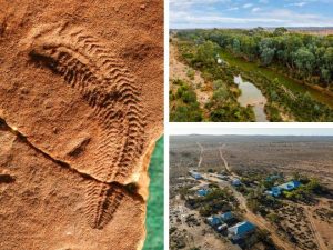 Martins Well Rangeland Reserve listed for sale with price hopes of over $12m