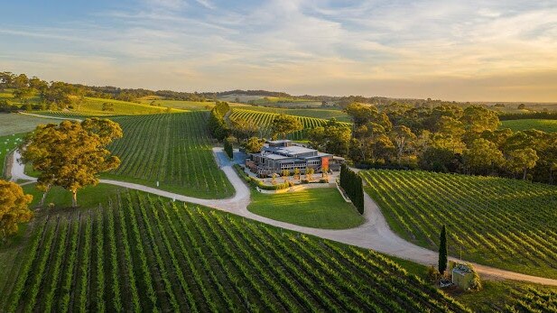 Supplied Real Estate The Lane Vineyard