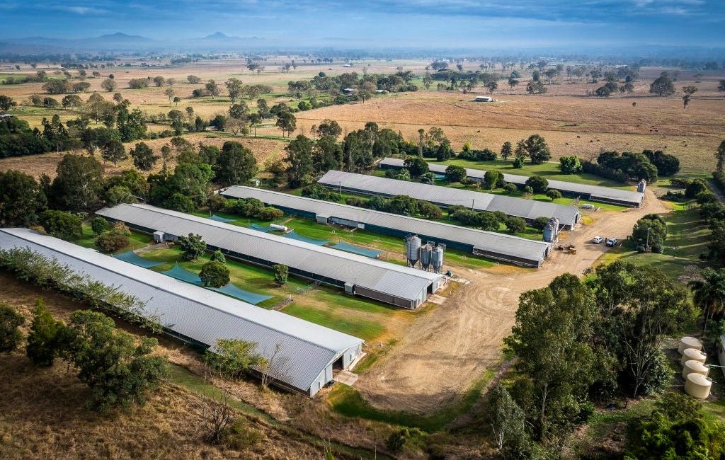 A Queensland chicken farm is for sale. Picture: realestate.com.au/buy
