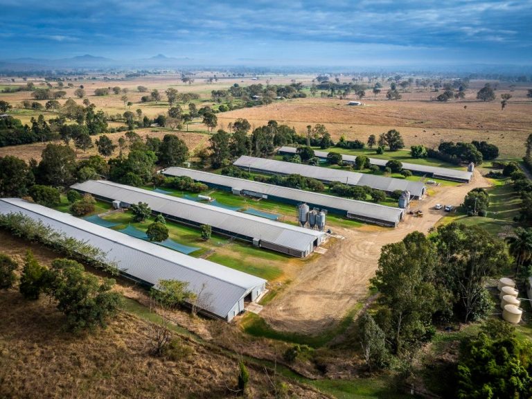 Picture perfect: A South East Queensland free-range chicken farm has hit the market