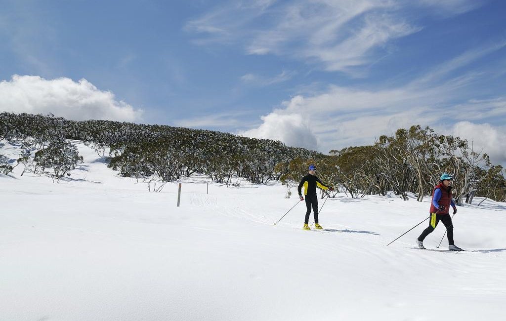 Victorian government set to put Mt Baw Baw, Lake Mountain up for grabs