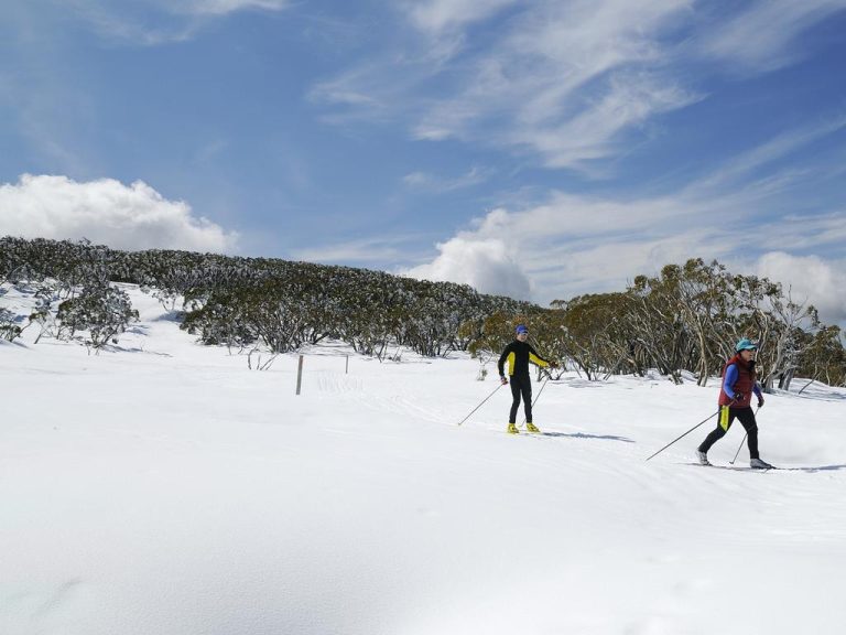 Victorian government set to put Mt Baw Baw, Lake Mountain up for grabs