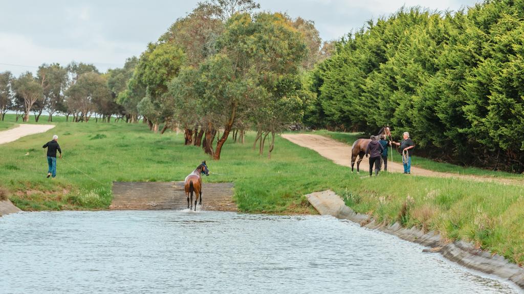 39 Bluff Rd, Bass - for herald sun real estate