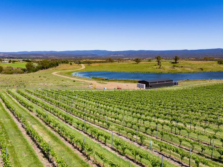 Swansea’s Grange offers premium vineyard, and a bonus option