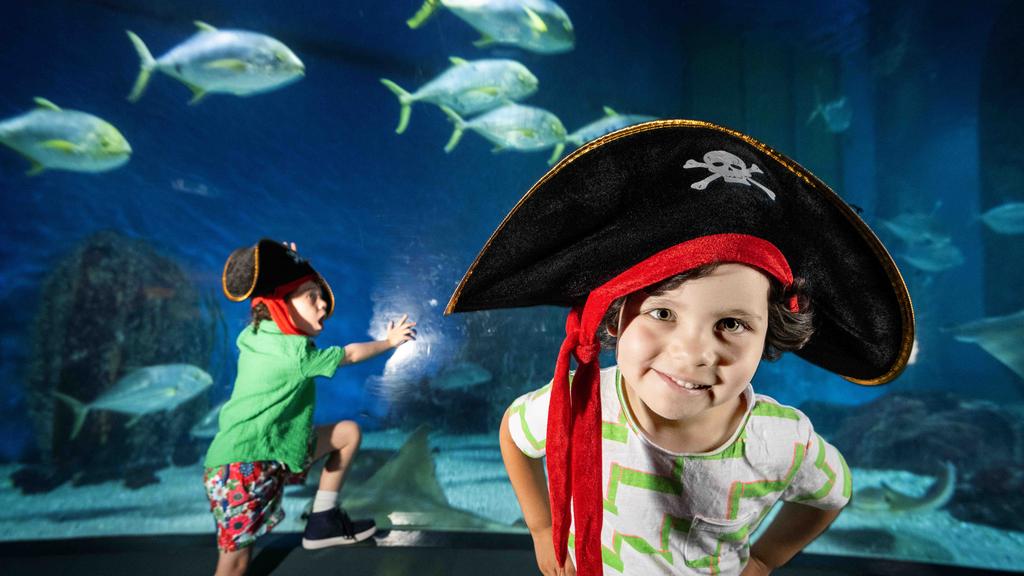 Pirates at Sealife